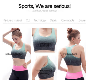 Sports Bra High Stretch Breathable